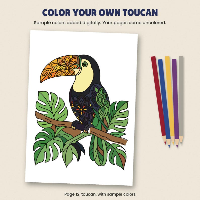 Bird Mandala Coloring Book for Adults, 40 Printable Pages, Hummingbirds ...