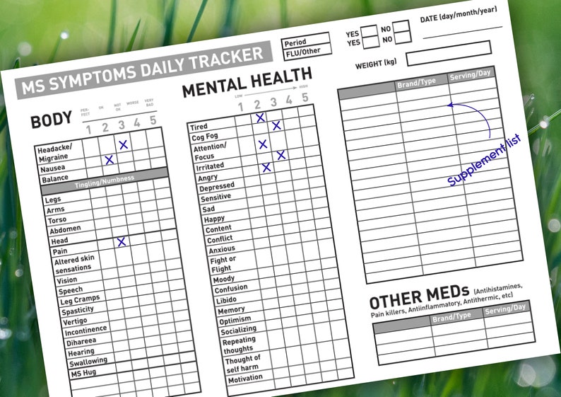 PRINTABLE Gray MS Symptom Daily Tracker Etsy Canada