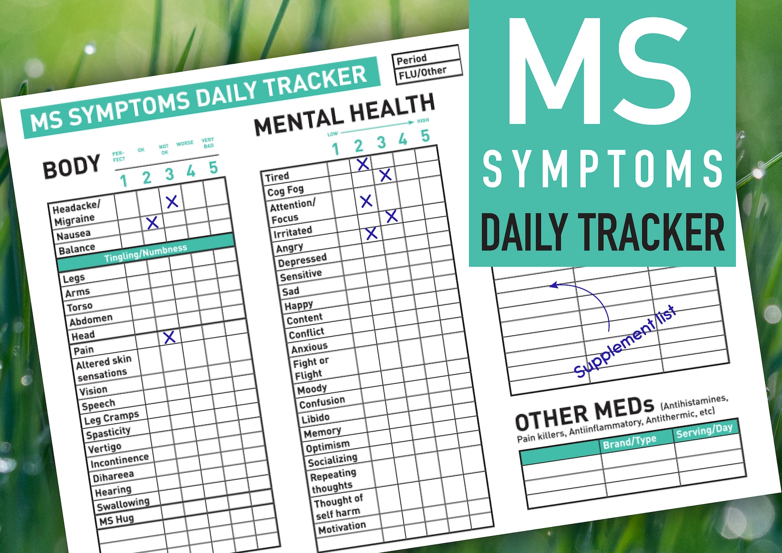 Ms Health Worksheet PRINTABLE Mint Color MS Symptom Daily Tracker - Etsy