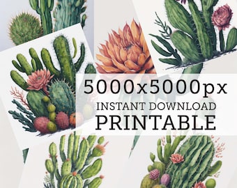 Watercolor Digital  Cactus 6x Illustration Set, Printable Cactus Art, Cacti Digital Poster Download Art