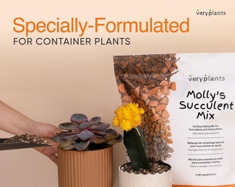 Molly's Succulent Mix - Terreau de rempotage granuleux de qualité supérieure pour plantes succulentes, cactus et bonsaï