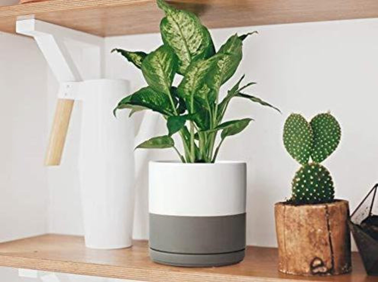 Ceramic Planter Pot with Drainage Hole and Saucer Indoor Etsy