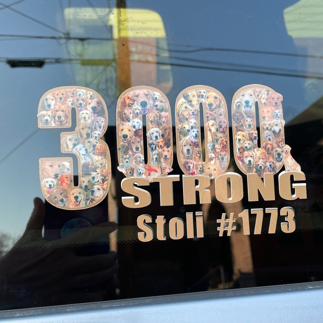 Personalized GRLS 3000 STRONG Decal - Etsy