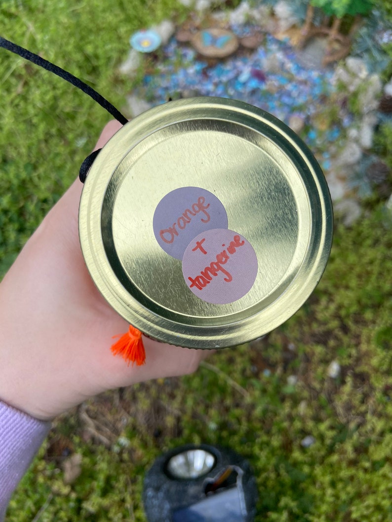 Orin the Orange Squishmallow Themed Candle | Etsy
