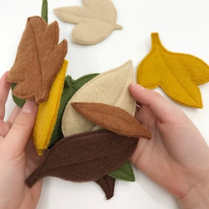 Felt Leaves ∙ Imaginative Play ∙ Loose Play Parts ∙ Merino Wool Felt  ∙ Australian Leaves ∙ Sustainable Toys