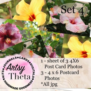 Post Card Photo Fronts Set 4 - Roze en Crème, Grote Roze en Gele Hibiscus