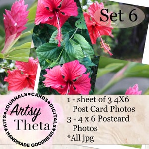 Conjunto de 6 frentes de fotos de cartão postal - dois hibiscos vermelhos e uma flor de gengibre