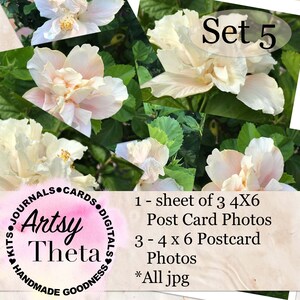 Post Card Photo Fronts Set 5 - Dubbele Witte Hibiscus