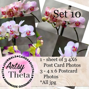 Post kaart foto fronten set 10 - orchidee bloemen
