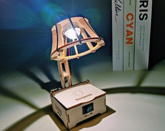 DIY Kit Bouw een lamp - Educatief STEM-speelgoed voor kinderen, gepersonaliseerd cadeau voor kinderen, leuke wetenschapsambachten STEM-kit