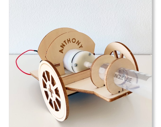 DIY Kit Cannon Ball Werfer - Personalisierbares, pädagogisch wertvolles STEM-Spielzeug für Kinder, lustiges Science Crafts STEM Kit