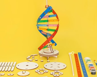 DIY DNA Double Helix Model Kit – Build & Paint Biology STEM Project