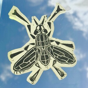 Blowfly Hand Carved, Hand Printed, Lino Cut Block Print, Printmaking