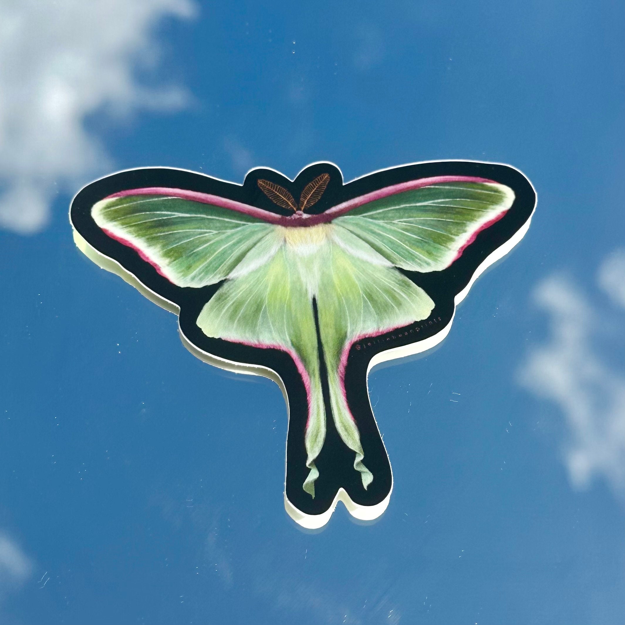 Luna Moth Vinyl Sticker, Hand Drawn, Die Cut Sticker, Blue, Green ...