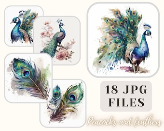 Peacock and Feather Bundle 18 JPG Files Peacock Illustration Peacock Feathers Art Crafting Bundle Digital Paper Scrapbooking Commercial Use