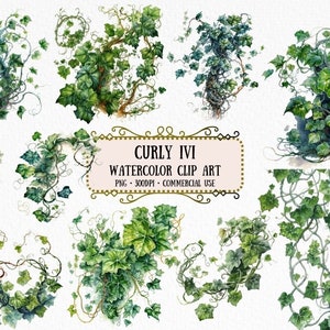 Curly Ivi Clipart PNG - Watercolor Curly Ivi - Ivi PNG - Scrapbooking Crafting Bundle Digital Paper Card Making Commercial Use