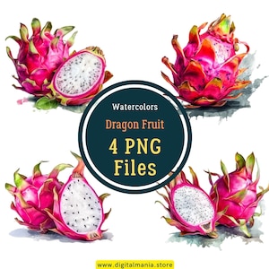Dragon Fruit Acuarela PNG - Fondo transparente - Dragon Fruit Clipart PNG, Paquete de elaboración, Diario, Scrapbooking, Uso comercial