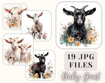 Floral Baby Goats Collection 19 JPG Cute Baby Goats Illustration Goats Clipart Crafting Bundle Digital Paper Scrapbooking Commercial Use
