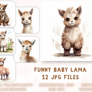 Funny Baby Lama Clip Art - Calidad Premium 12 JPG - para libro de chatarra, diario basura, medios mixtos, descarga instantánea para uso comercial