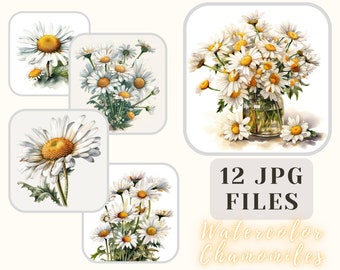 Camomille Aquarelle Collection 12 Fichiers JPG Camomille Illustration ClipArt Artisanat Bundle Papier numérique Scrapbooking Utilisation commerciale