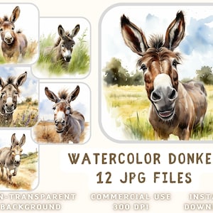 Acuarela burro ClipArt 12 JPG - feliz burro ilustraciones burro artes Scrapbooking basura diario descarga instantánea para uso comercial