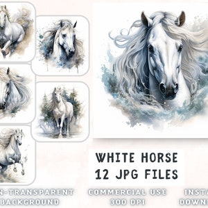 White Horses Acuarela Clip Art - Calidad Premium 12 JPG - para libro de chatarra, diario basura, medios mixtos, descarga instantánea para uso comercial