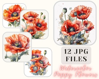 Coquelicot fleurs aquarelle Collection 12 fichiers JPG coquelicot fleurs Illustration artisanat Bundle papier numérique Scrapbooking usage Commercial