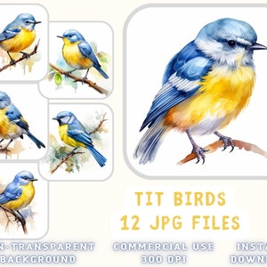 Tit Birds Aquarelle ClipArt 12 JPG - Blue Tit Birds Illustration Mix Art Scrapbooking Junk Journaling Téléchargement instantané pour un usage commercial