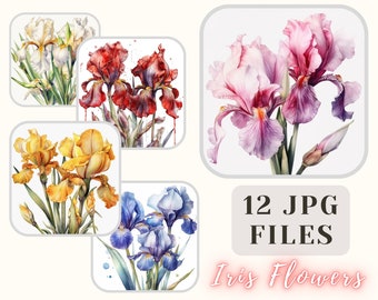 Iris coloré fleurs Collection 12 JPG aquarelle Iris Illustration Clipart Art artisanat Bundle papier numérique Scrapbooking usage Commercial