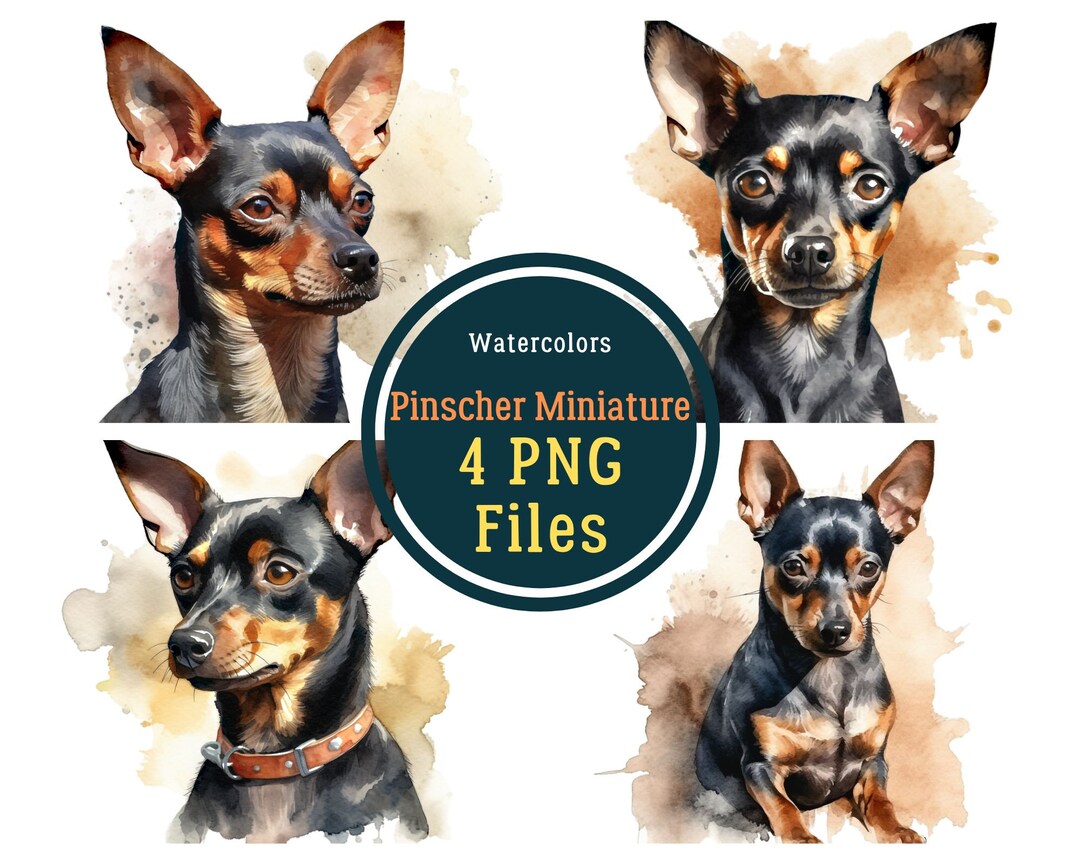 Watercolor Pinscher Miniature PNG - Transparent Background - Pinscher ...