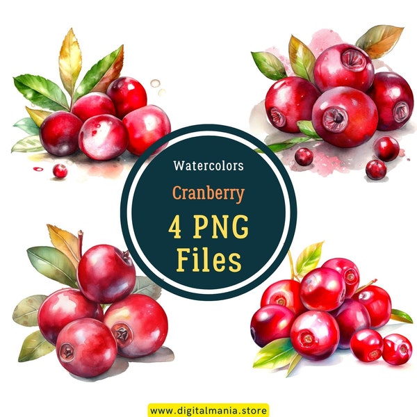 Cranberry Watercolor PNG - Transparent background - Cranberry Fruits Clipart PNG, Crafting Bundle, Journaling, Scrapbooking, Commercial Use