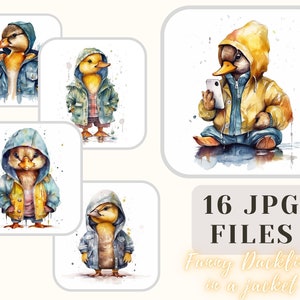 Lustiges Entenküken in einer Jacke Sammlung 16 JPG-Dateien niedliche Entenküken Illustration Crafting Bundle digitales Papier Scrapbooking kommerzielle Nutzung