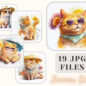 Funny Summer Cats 19 JPG Files Cats Illustration Sunny Cats Clipart Crafting Bundle Digital Paper Kitties Scrapbooking Commercial Use