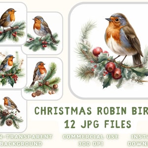 Natal Robin Birds Aquarela Clip Art 12 JPG - Robin Birds Imagem Scrapbooking Junk Journaling Cartão de mídia mista fazendo uso comercial