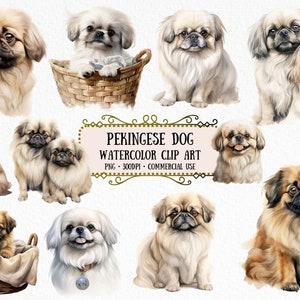 Pekingese Clip Art - Dog Breeds Clipart - Clipart bundle for Scrapbooking, Crafting Bundle - Instant Download for Commercial Use