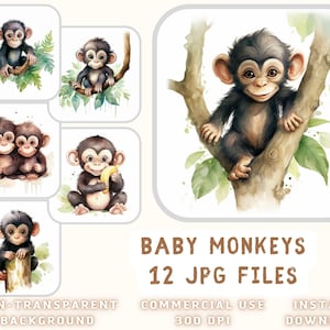 Cute Baby Monkeys Aquarela ClipArt 12 JPG - Macacos Ilustração Mix Art Scrapbooking Junk Journaling Download instantâneo para uso comercial