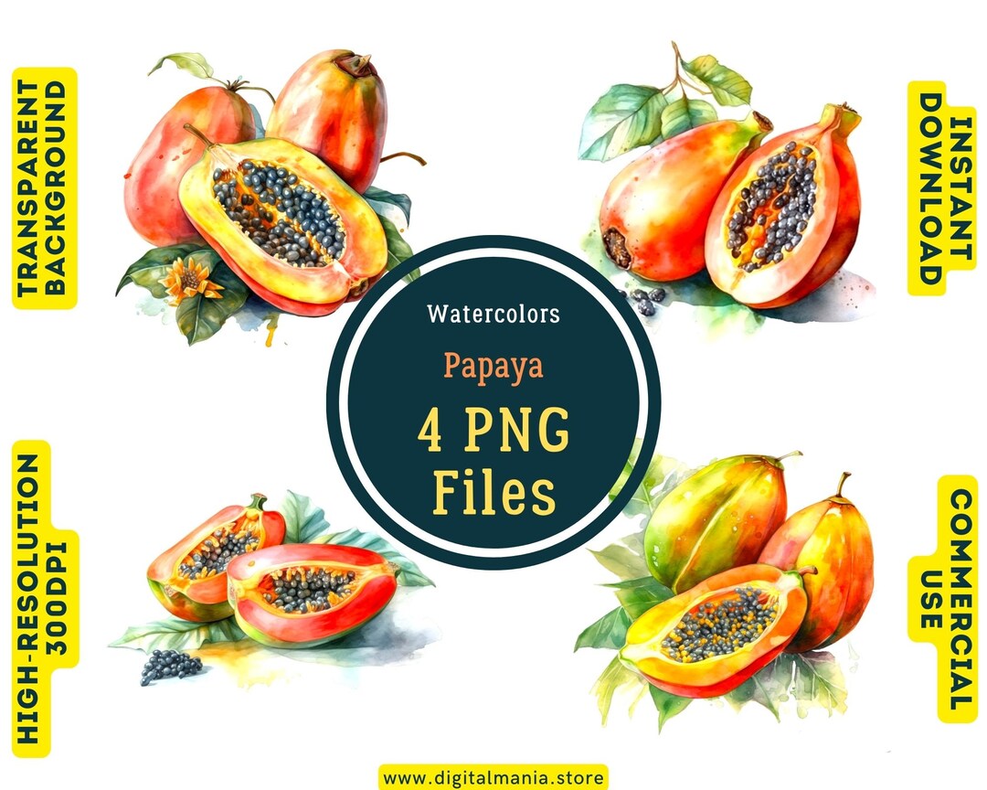 Papaya Watercolor PNG Transparent Background Papaya Art Etsy