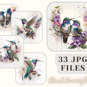 Kolibri Floral Design Bundle 33 JPG Dateien Kolibri Illustration Kolibri Clip Art Crafting Bundle Digitales Papier Kommerzielle Nutzung