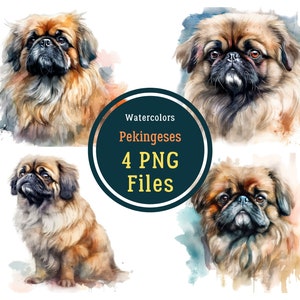 Watercolor Pekingese Dog PNG - Transparent background - Pekingese Dog Clipart - Crafting Bundle Digital Paper Scrapbooking Commercial Use