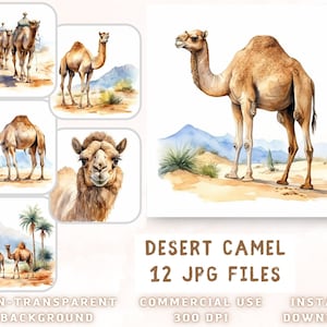 Desert Camels Acquerello Clip Art - Qualità Premium 12 JPG - per Scrap Book, Junk Journal, Mixed Media, Card Making Uso commerciale