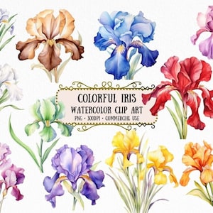 Watercolor Iris Clip Art - 25 PNG Colorful Iris Images Iris Flowers Art Scrapbooking Crafting Bundle Instant Download for Commercial Use