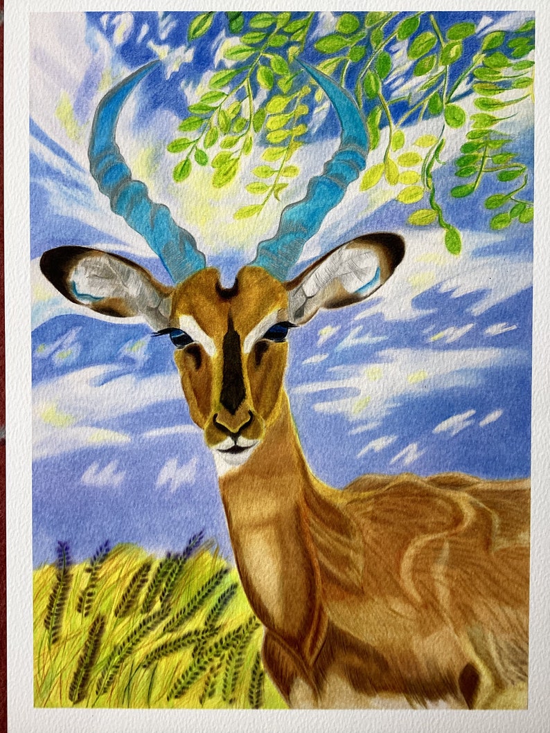 Impala Animal Art Print/ Wall Art/wildlife Wall Hanging/animal Etsy