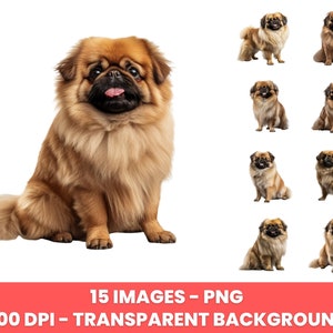 Pekinese Hund Ganzkörper Clipart – Clip Art kommerzielle Nutzung, PNG Bilder, digitale Bilder, sofortiger Download