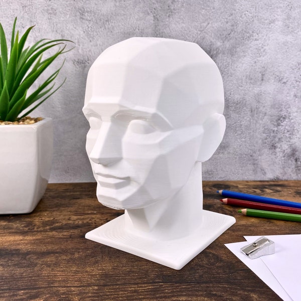 3D Planar Head Art Model: Ideal for Illustration, Drawing Practice, and Reference - Anatomy Sculpture