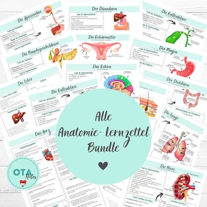 Pacchetto di fogli di apprendimento di anatomia XXL - Formazione infermieristica in medicina fisiologica OTA Mfa Nursing Learning Cards tms