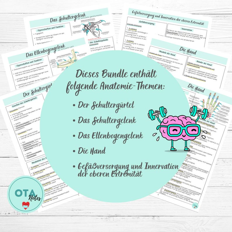 May include: A colourful illustration of a brain with glasses lifting weights, with the text "This bundle contains the following anatomy topics: The shoulder girdle, The shoulder joint, The elbow joint, The hand, Blood supply and innervation of the upper extremity".
