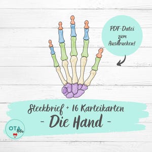 DIE HAND Anatomie Lernzettel + Karteikarten - Knochen Gelenke Muskeln OTA Ata mfa Pflege Ausbildung Lernkarten Medizin