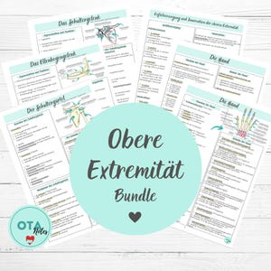 OBERE EXTREMITÄT Anatomie Lernzettel + Karteikarten - Schultergelenk Schultergürtel Arm Hand Gelenk OTA Ata mfa Pflege Ausbildung Lernkarten