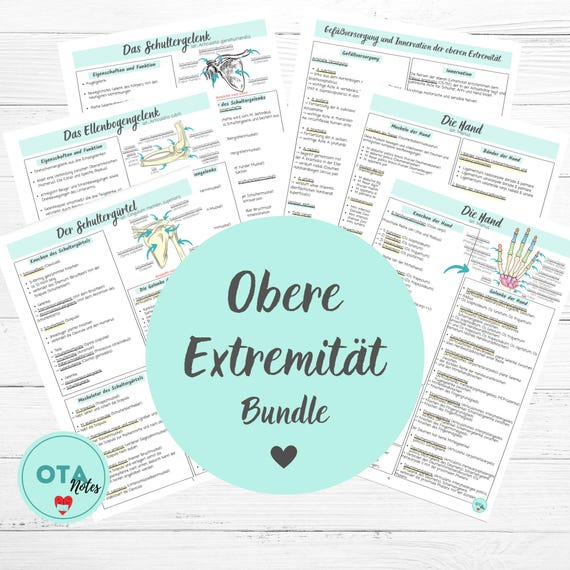 OBERE EXTREMITÄT Anatomie Lernzettel + Karteikarten - Schultergelenk Schultergürtel Arm Hand Gelenk OTA Ata mfa Pflege Ausbildung Lernkarten