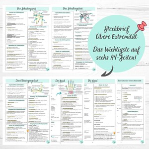 May include: A colourful study guide for the upper limb, featuring anatomical illustrations and text in German. The guide covers the shoulder girdle, shoulder joint, elbow joint, and hand. The title reads "Steckbrief Obere Extremitat Das Wichtigste auf sechs A4-Seiten!"